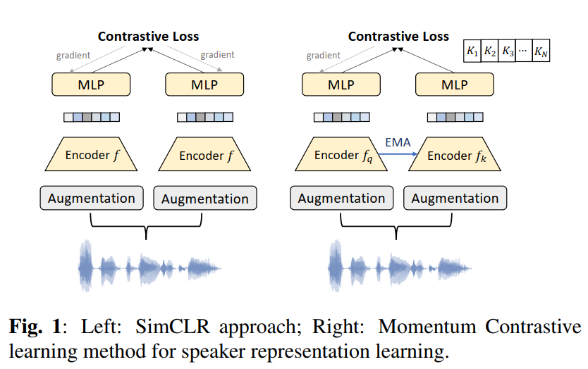 Difference between SimCLR and Momentum Contrastive Learning